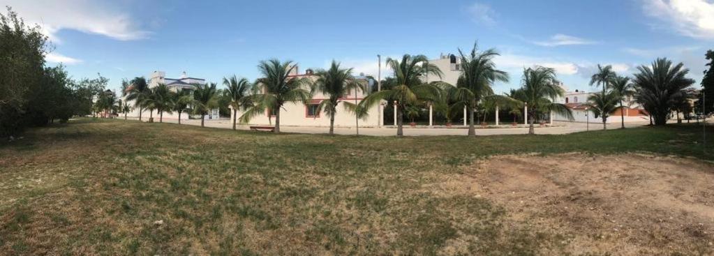 Cancun Ocean View Playa Del Nino 部屋 写真