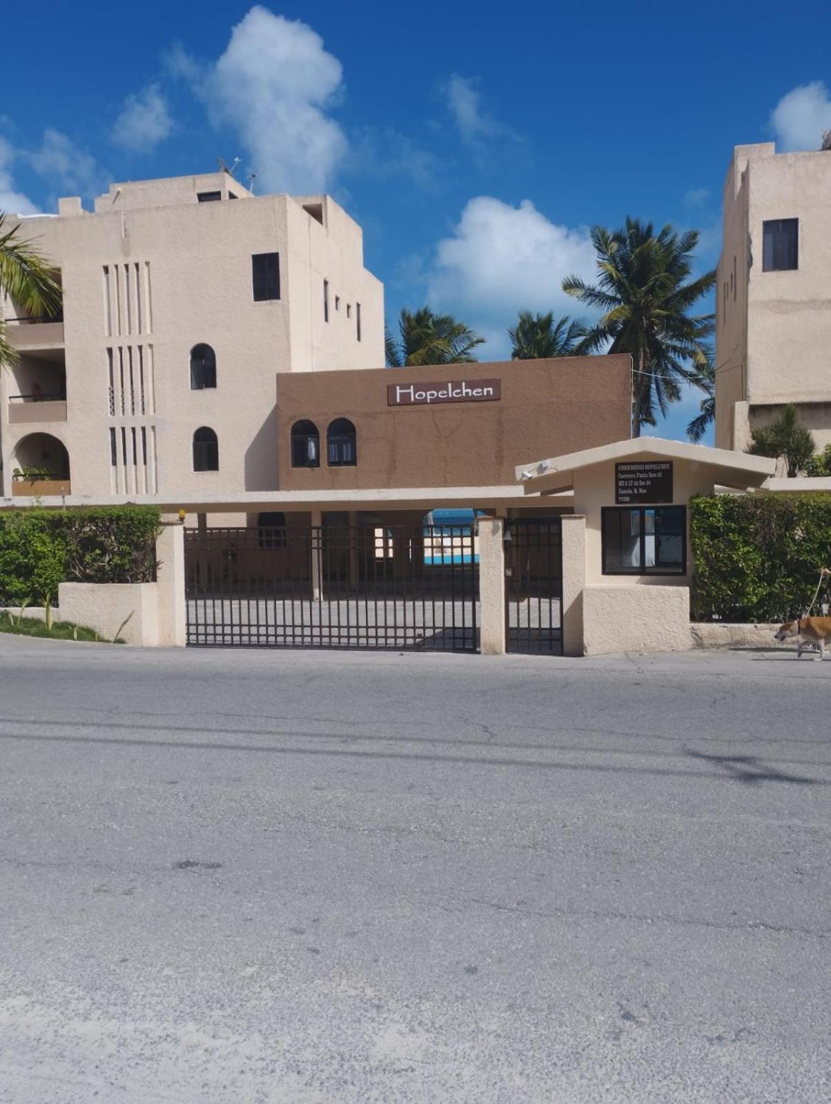 Cancun Ocean View Playa Del Nino 部屋 写真